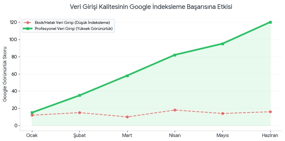 Search Console Hataları Satışlarınızı mı Engelliyor? Doğru Veri Girişinin Önemi